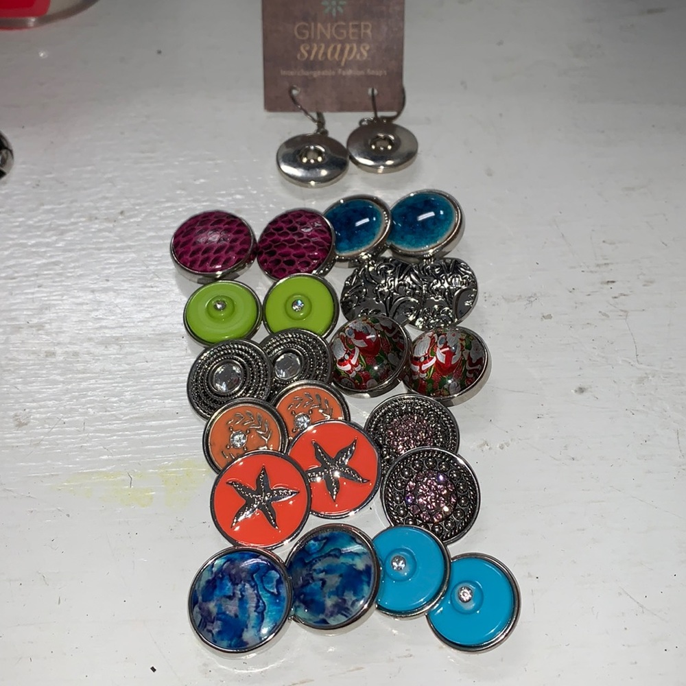 One pair leverback earrings with 11 pair matched silver snap buttons NWT